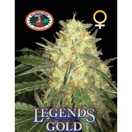 Legends Gold - Big Buddha...