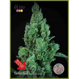 Solodiol Auto CBD - Elite...