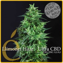 Limonet Haze Ultra CBD -...