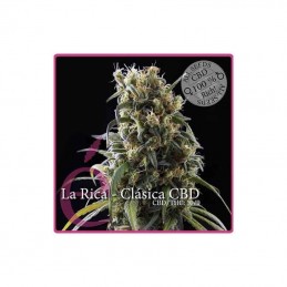 La Rica Clasica CBD - Elite...