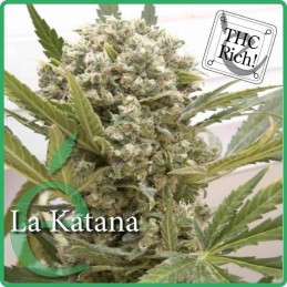 La Katana - Elite Seeds