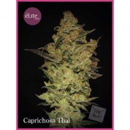 Caprichosa Thai - Elite Seeds