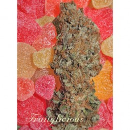 Fruitylicious - Mandala Seeds