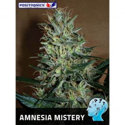 Amnesia Mistery - Positronics