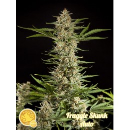 Fraggle Skunk Auto -...