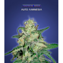 Auto Amnesia - Advanced Seeds