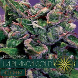 La Blanca Gold Auto -...