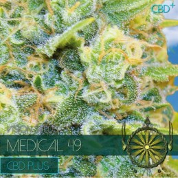 Medical 49 CBD + - Vision...