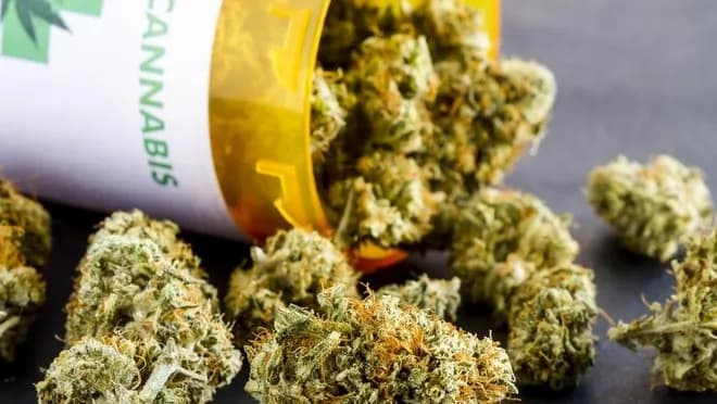 THC: Czy jest zdrowe? Medyczne zastosowania vs. Ryzyka