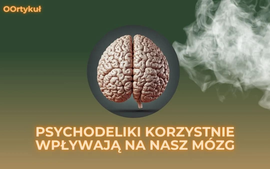 Jak psychodeliki działają na mózg? Neurobiologia w pigułce
