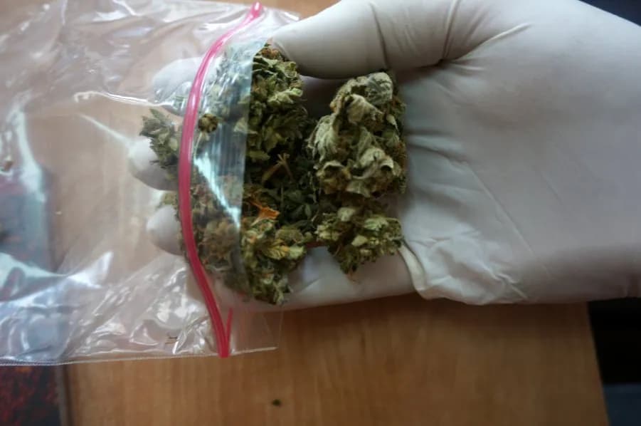 16-latek z marihuaną: Konsekwencje prawne i Sąd Rodzinny