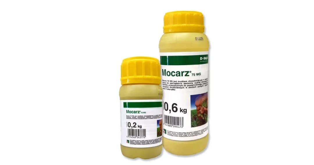 Mocarz: Cena, Skład, Objawy Zatrucia i Prawne Konsekwencje