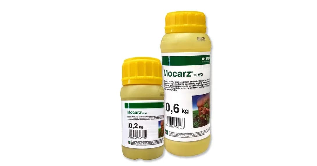 Mocarz: Cena, Skład, Objawy Zatrucia i Prawne Konsekwencje