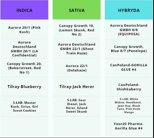 Dopalacze vs Marihuana: Kluczowe Różnice dla Twojego Bezpieczeństwa