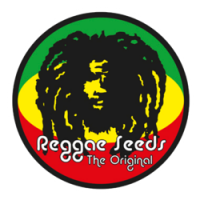 Reggae Seeds nasiona marihuany, konopi