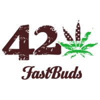 Nasiona marihuany, konopi marki Fast Buds