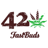 FastBuds