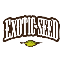 Exotic Seed nasiona konopi, marihuany