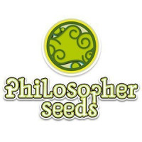 Philosopher Seeds nasiona marihuany, konopi