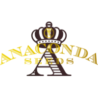 Nasiona marihuany - konopi - Anaconda Seeds