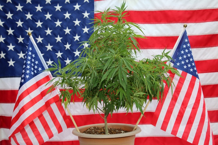 Marihuana USA